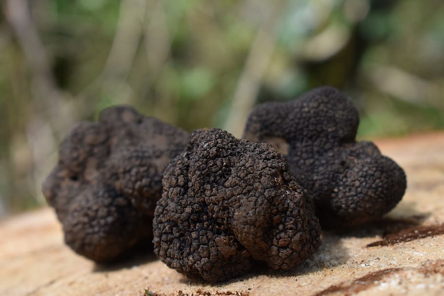 Details on Psilocybin Truffles for sale